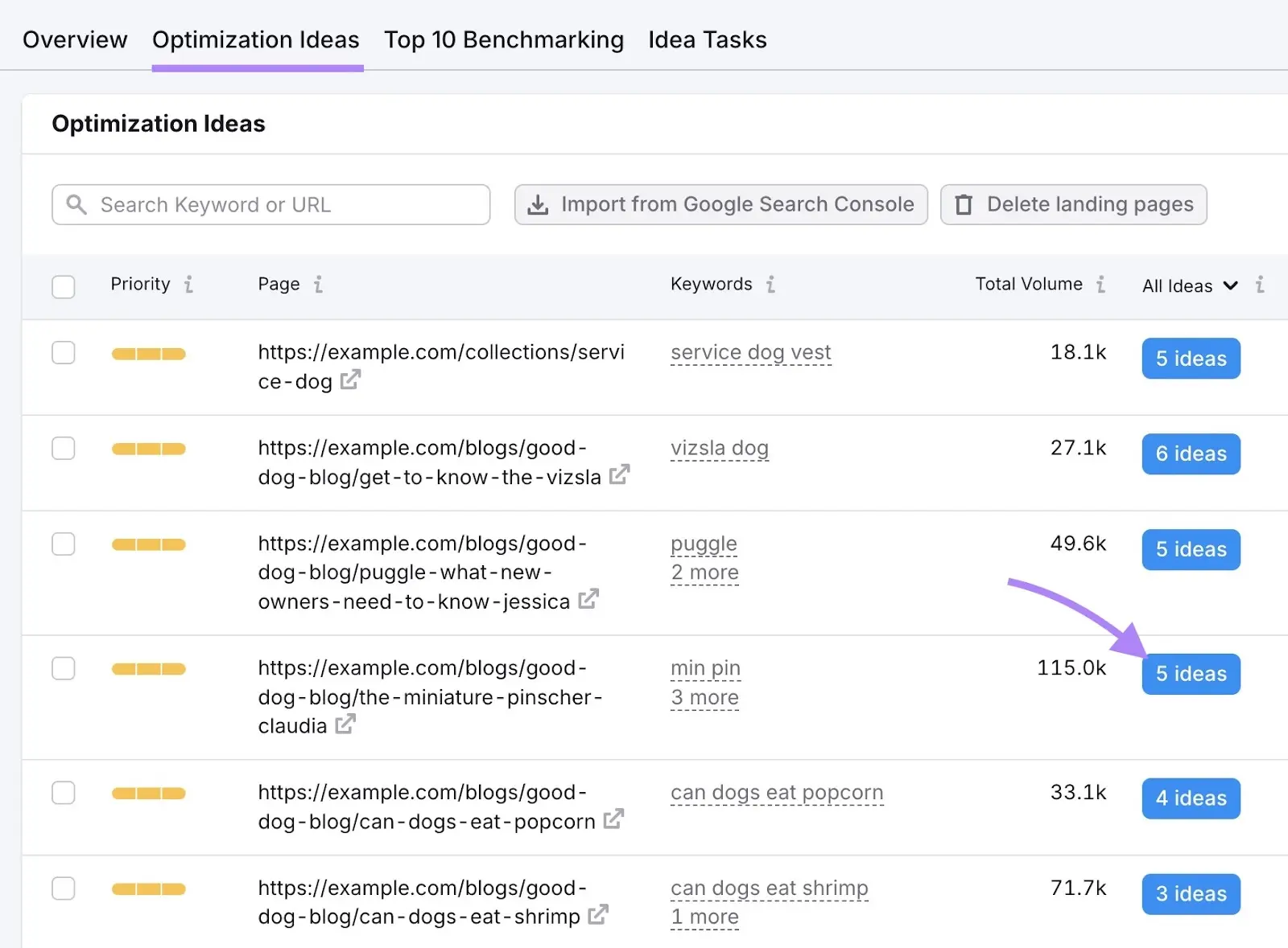 Optimization Ideas on the On Page SEO Checker with "5 ideas" next to a page clicked.