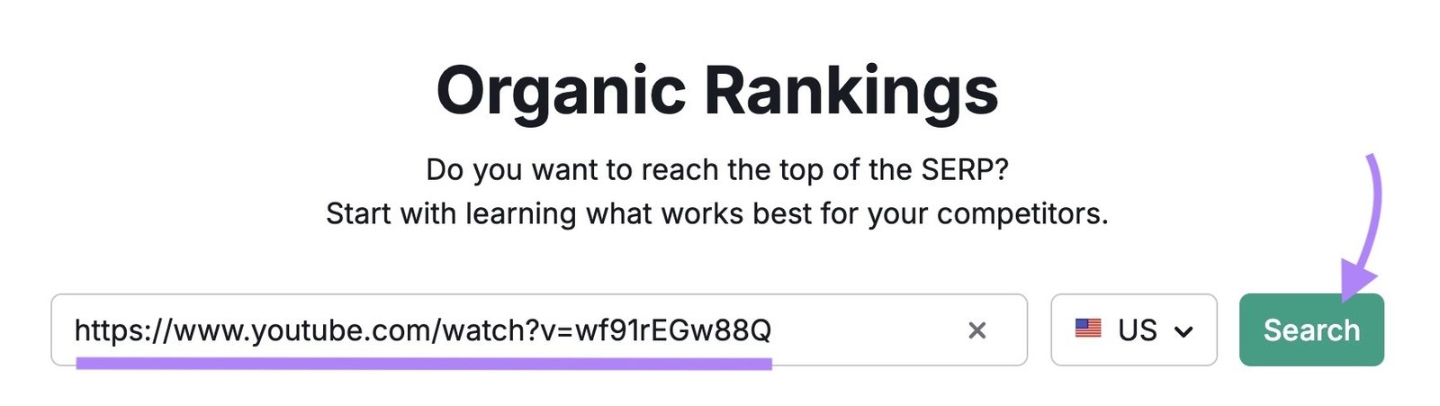 Organic Rankings tool start with the URL of a video entered and "Search" clicked.