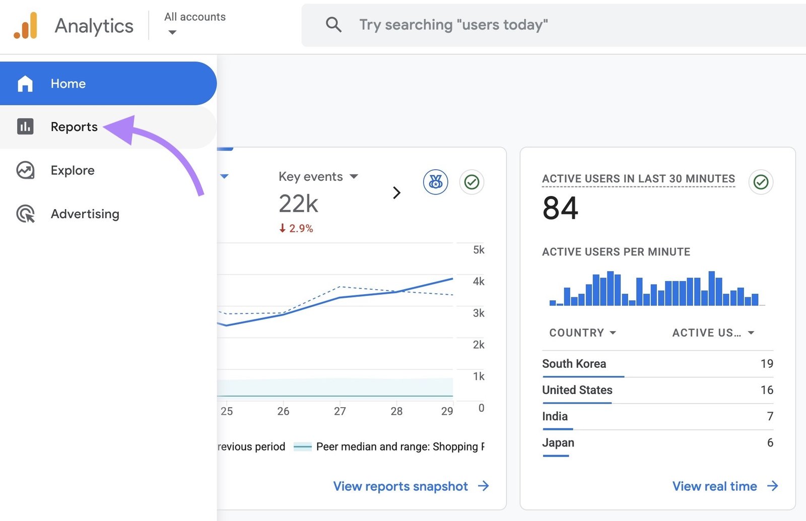 Google Analytics with "Reports" highlighted on the left menu.