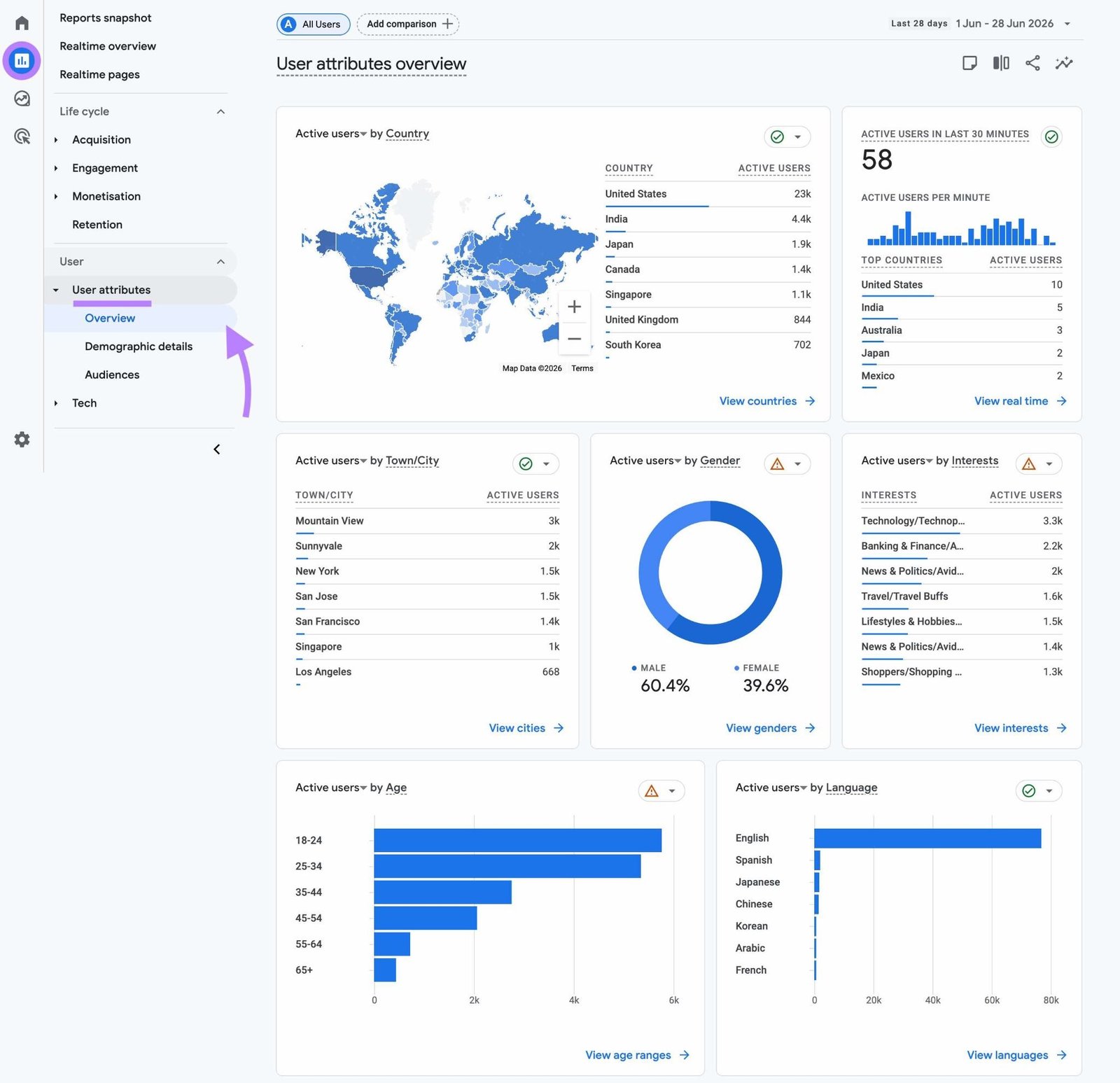 User attributes overview report on GA4 showing audience data like age, gender, location, interests, and language.