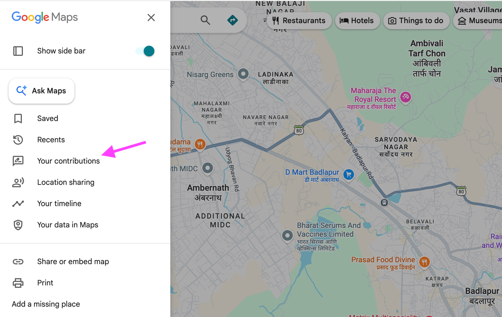 Google Maps menu section