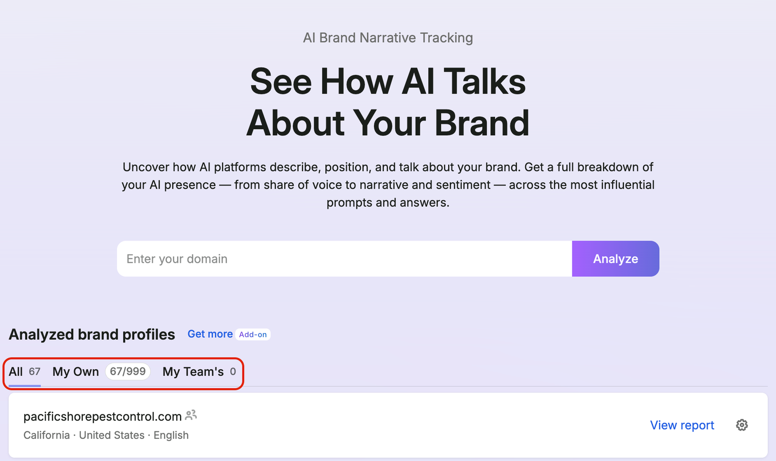 Brand Performance Reports image 17