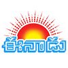 sakshi.com favicon