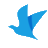 kayak.co.kr favicon